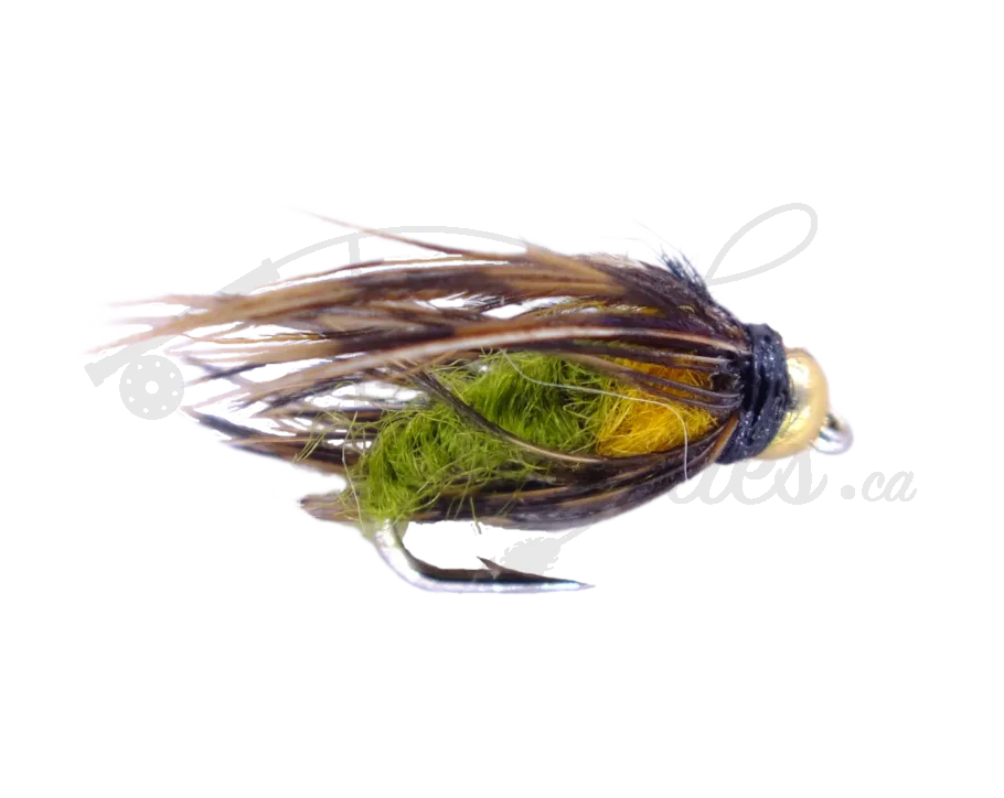 Beadhead Caddis Pupa