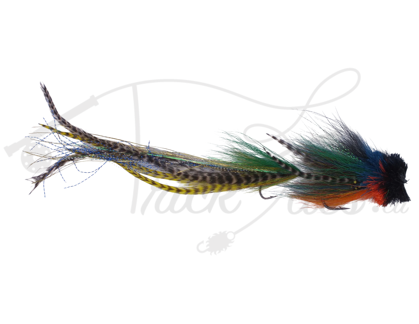 Double Buford Bluegill