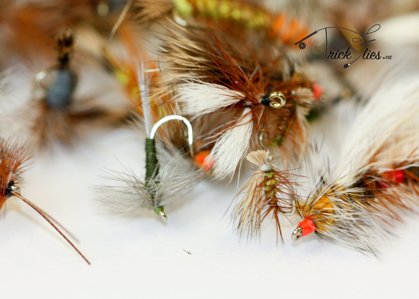 Ultimate Dry 73 Fly Collection