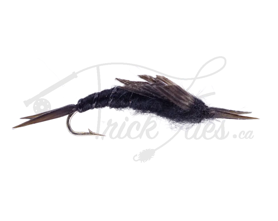 Kaufmann's Stone Black