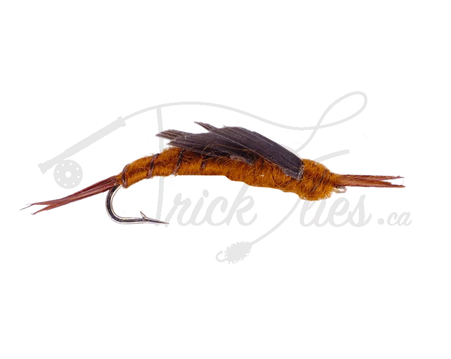 Kaufmann's Stone Brown