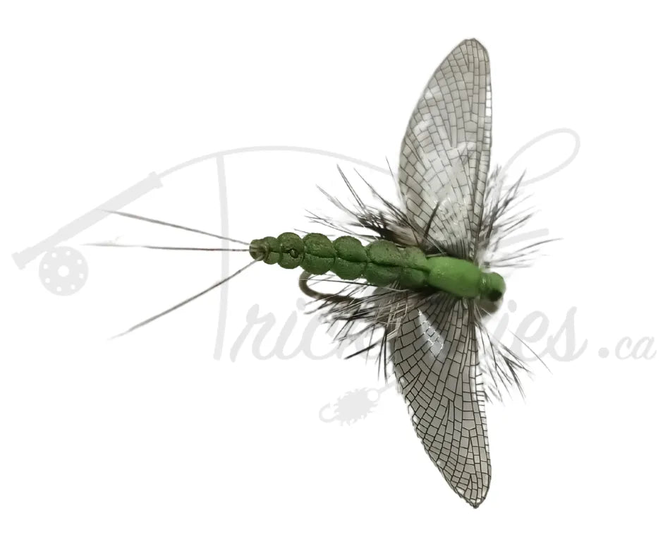 Realistic Spent Mayfly Green