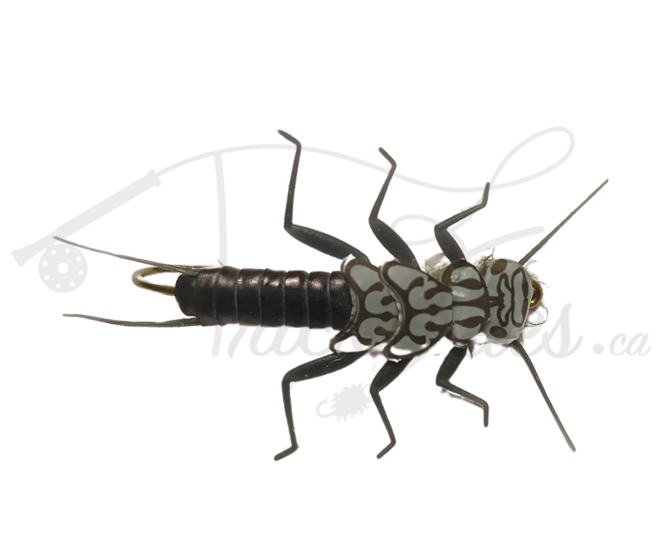 Realistic Stonefly Nymph Black