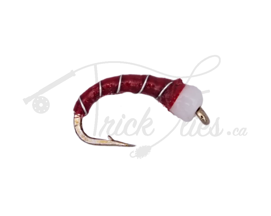 Red Butt Chironomid Red