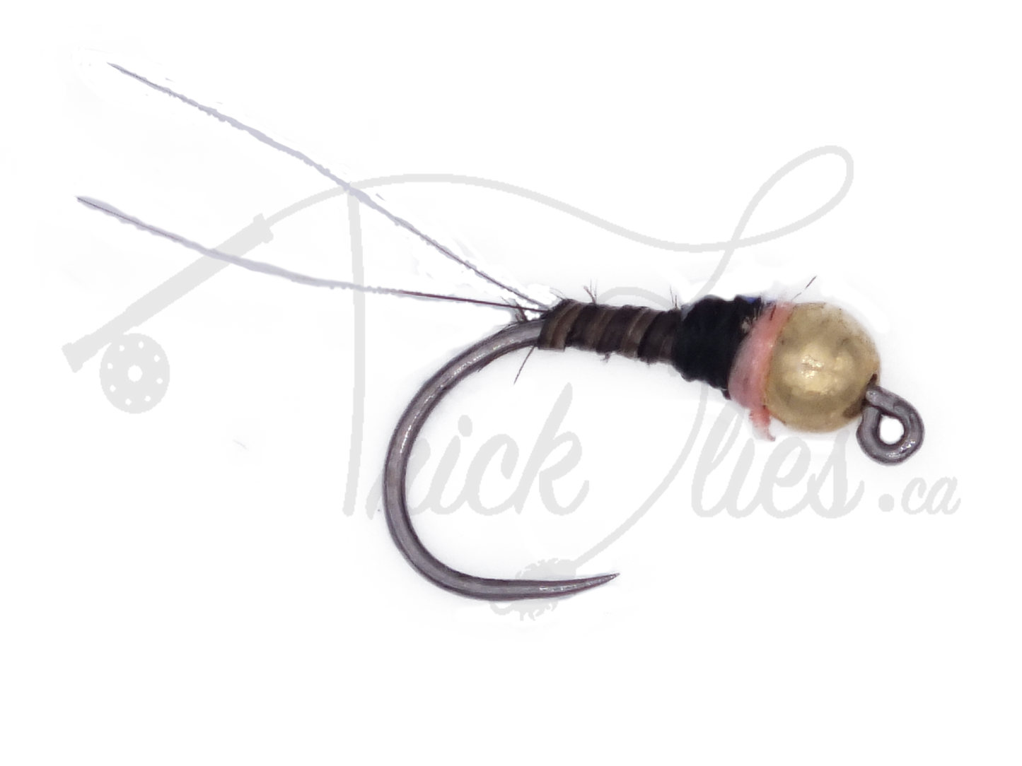 Tungsten Jighead SR Bullet Quill Barbless