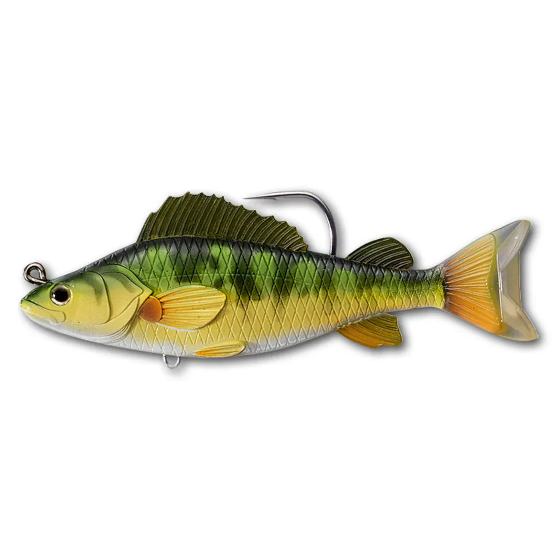 Live Target Perch Swim Bait on white background