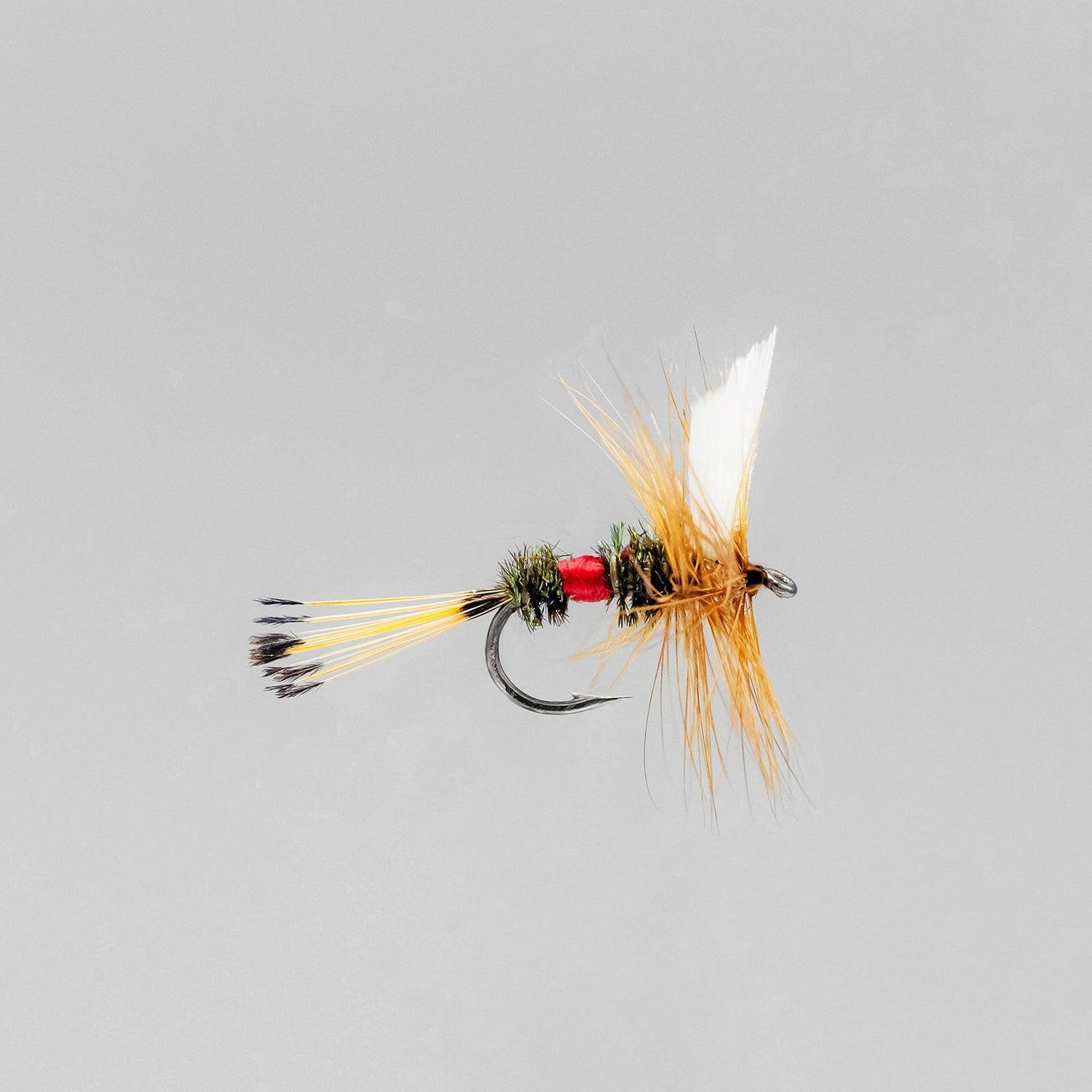 Royal coachman fly fishing fly on grey background