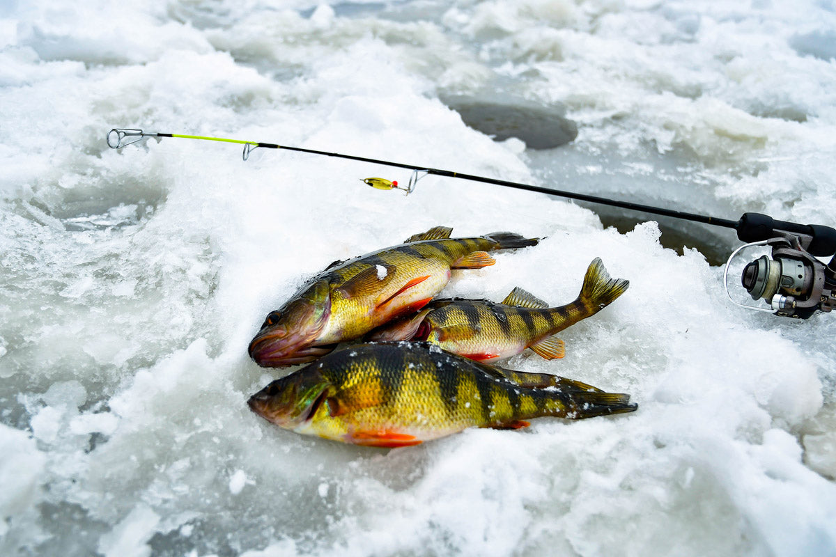 Experience the thrill of ice fishing with our premium ice fishing rod, designed for optimal performance in cold conditions. This fishing rod for ice fishing is lightweight yet durable, ensuring you can handle any catch with ease.