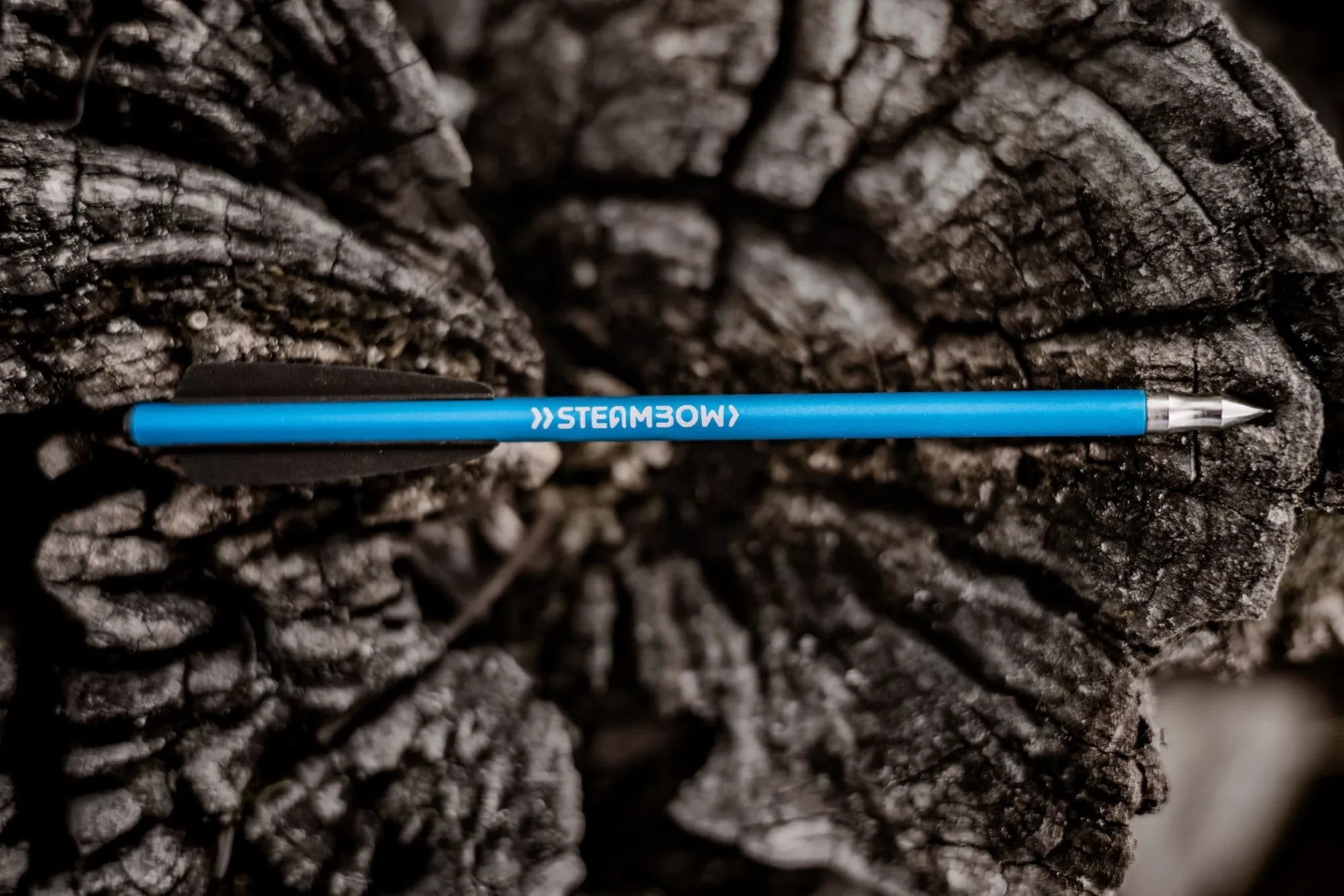 Steambow Archery AR-Series Target Arrows - 10 Pack