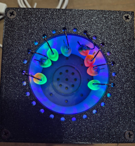 Square Glow Cup #3