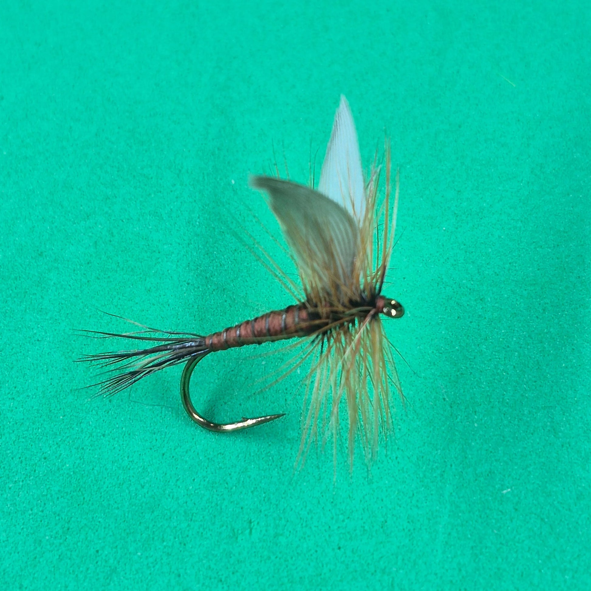 Bridge Lake Mayfly