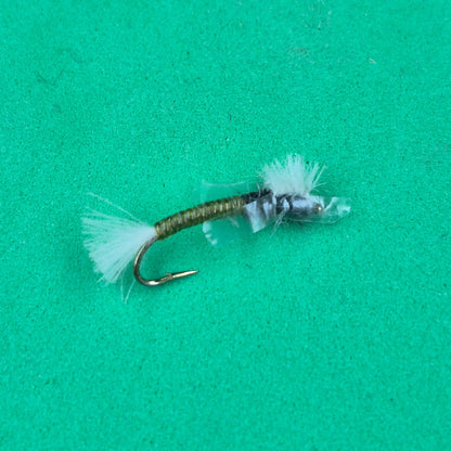 Olive Chironomid