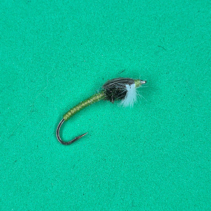 Stillwater Olive Chironomid