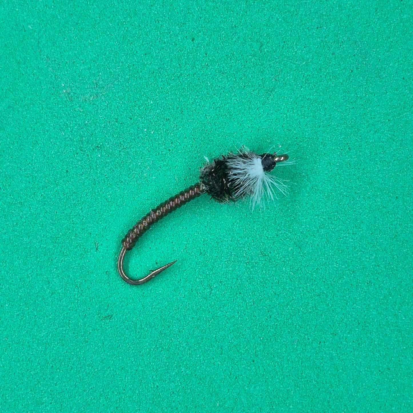 Stillwater Brown Chironomid