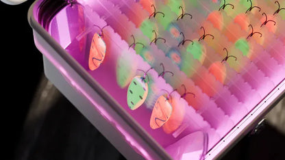 Colorful plastic bugs in a pink container under a black light