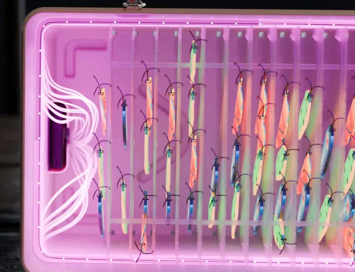 Colorful LED lights inside a pink rectangular container with a blurred background