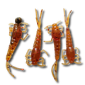 Grampy's Tackle Mayfly Softbaits 2" 4/pk Incl-1/16oz Jig Head