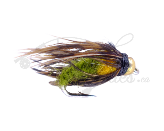 Beadhead Caddis Pupa