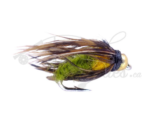 Beadhead Caddis Pupa