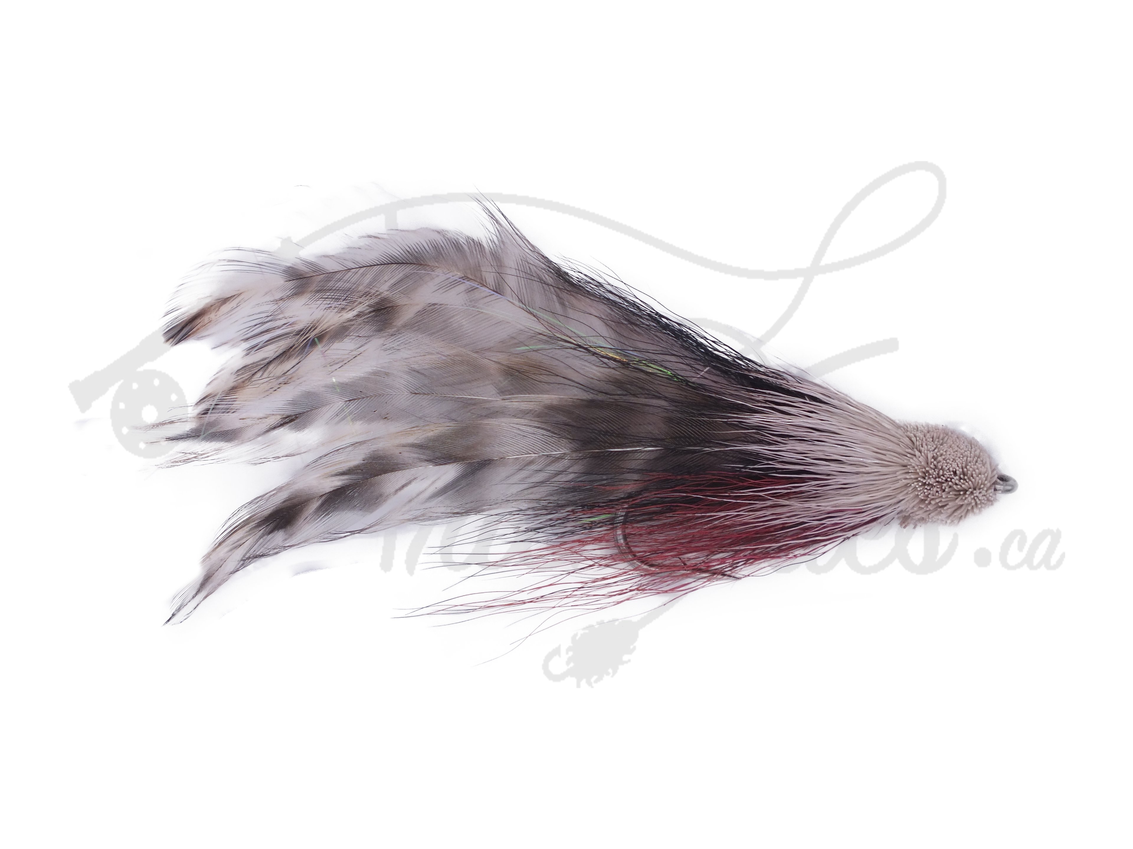 Buford Cotton Candy