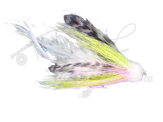 Buford Pink/Chartreuse