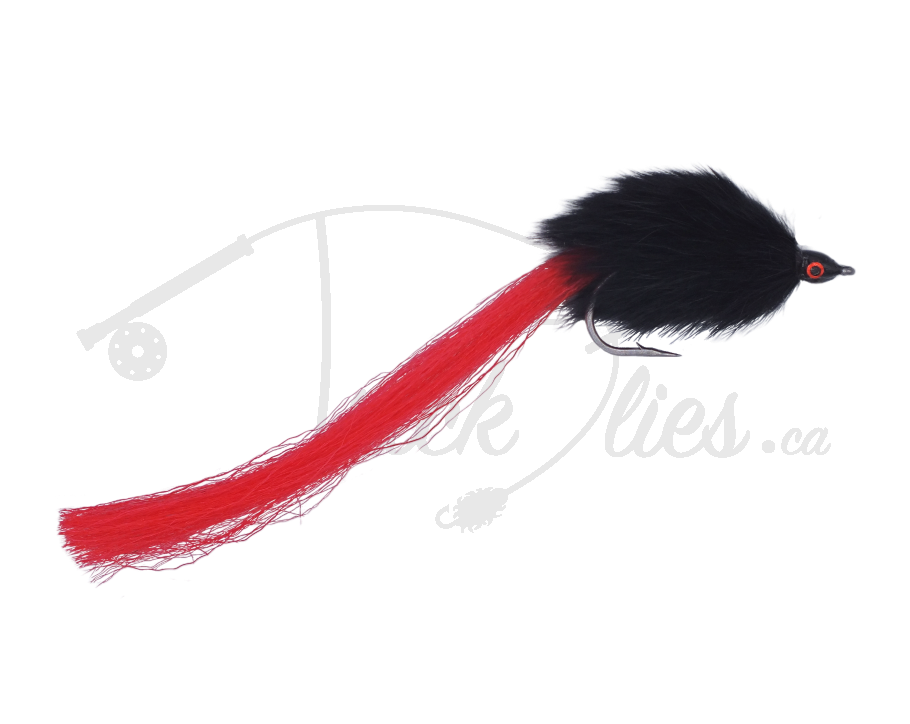 Chip's Northern Magic