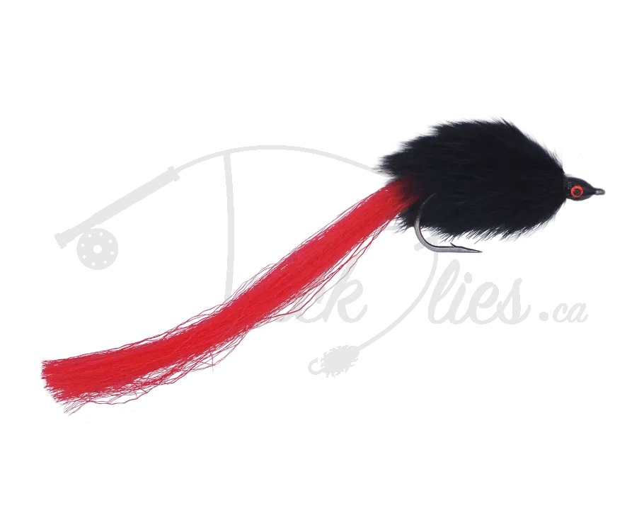 Chip's Northern Magic