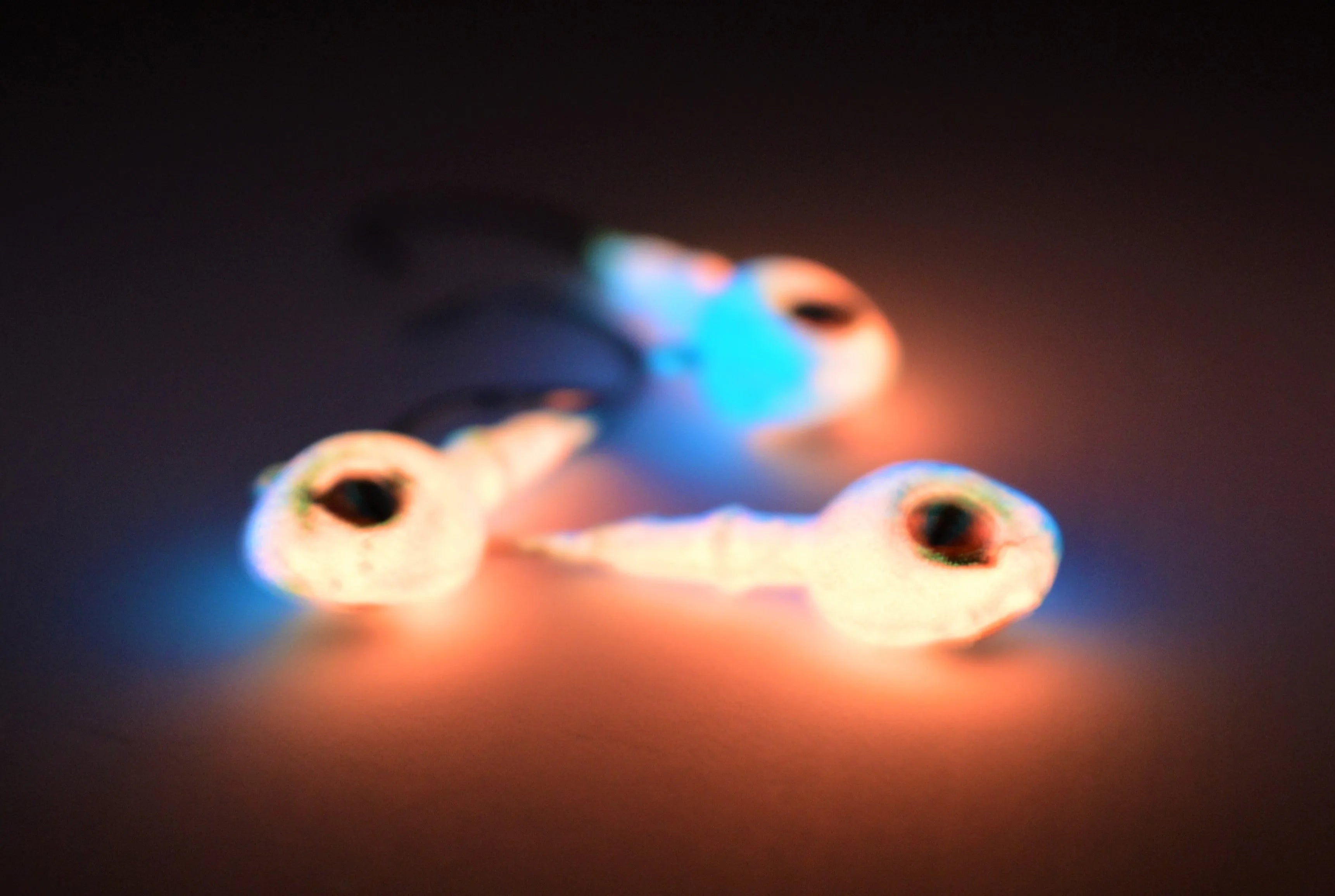 Big Sky Snake Eye 1/4oz Glow Jigs 3/pack Purple Top/Pink Bottom