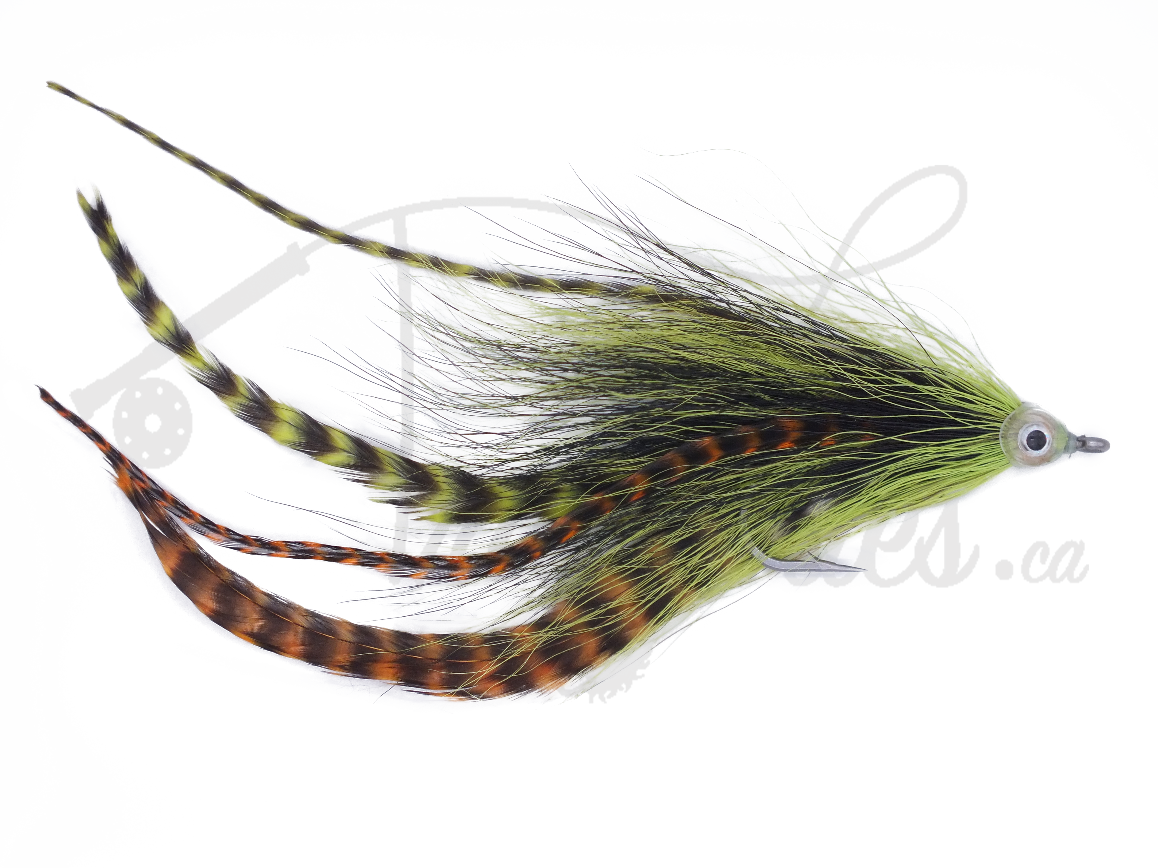 Devil's Tickler Fire Tiger