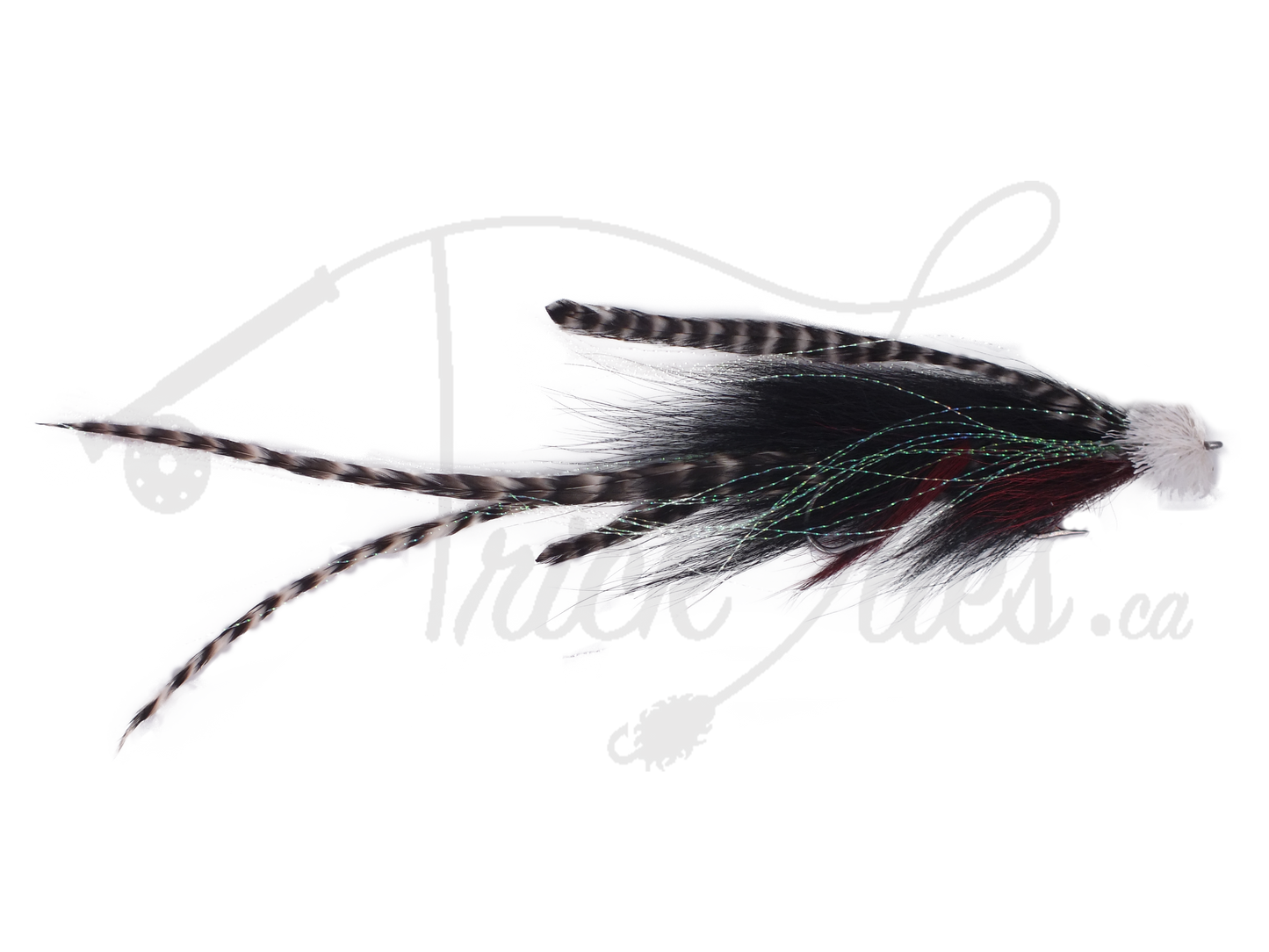 Double Buford Black and Red