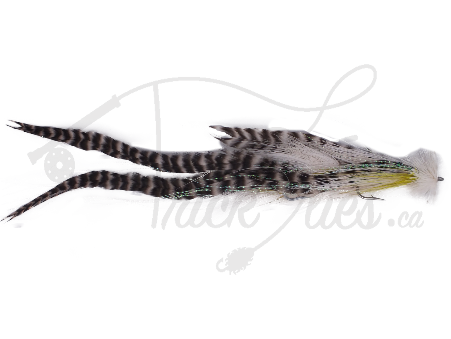 Double Buford Chartreuse and White