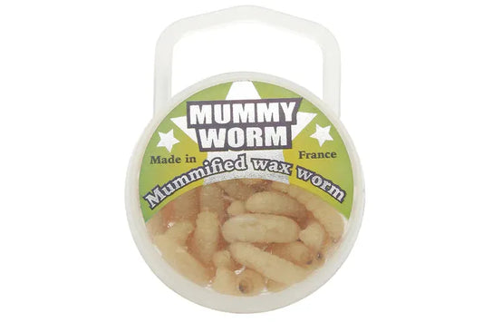 Mummified wax worms in a small round container on a white background