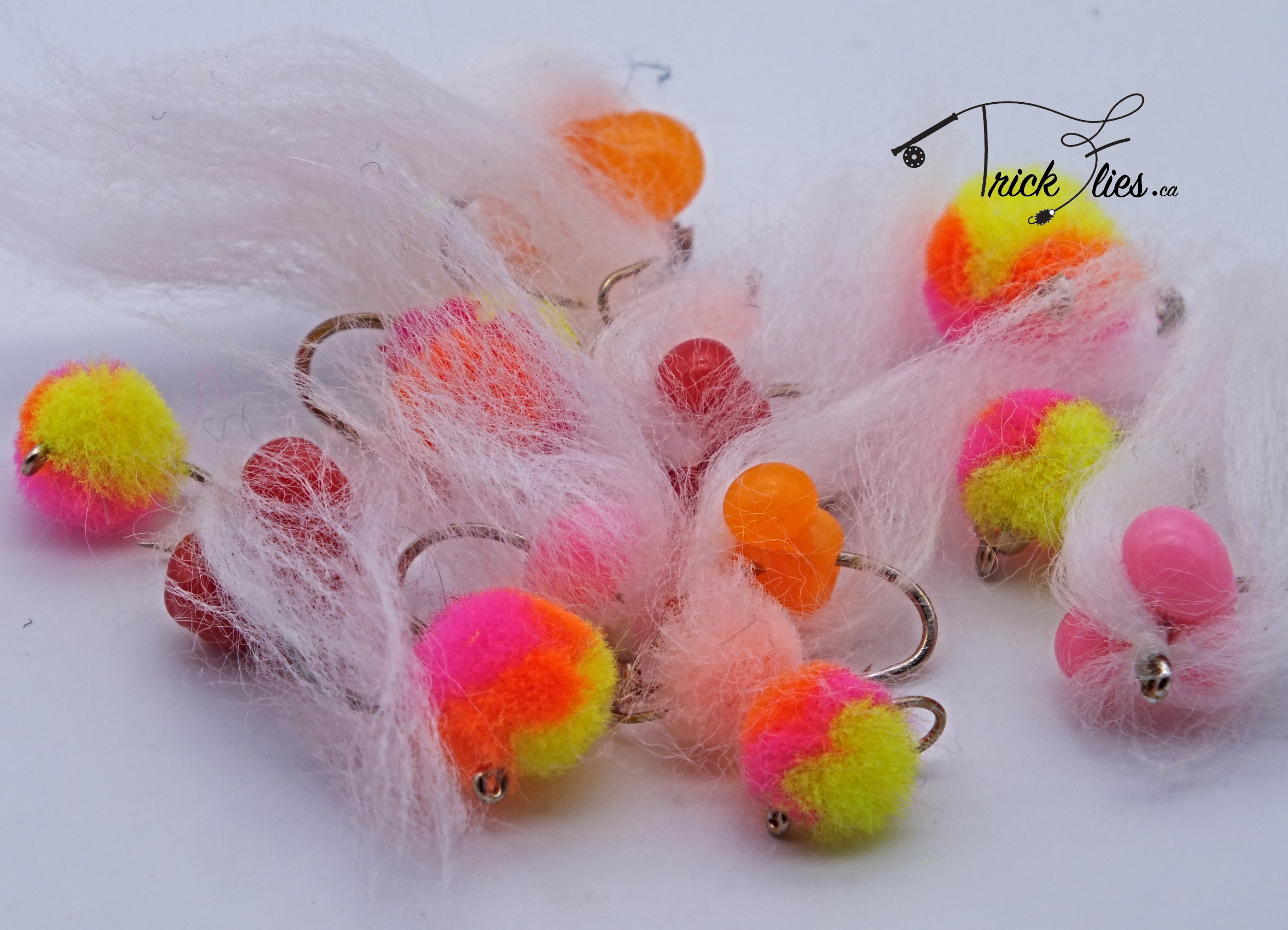 Egg 14 Fly Collection
