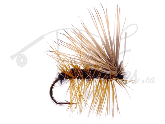 Elk Hair Caddis Black