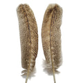FLY LIFE CO - BARRED TURKEY QUILLS (PR)