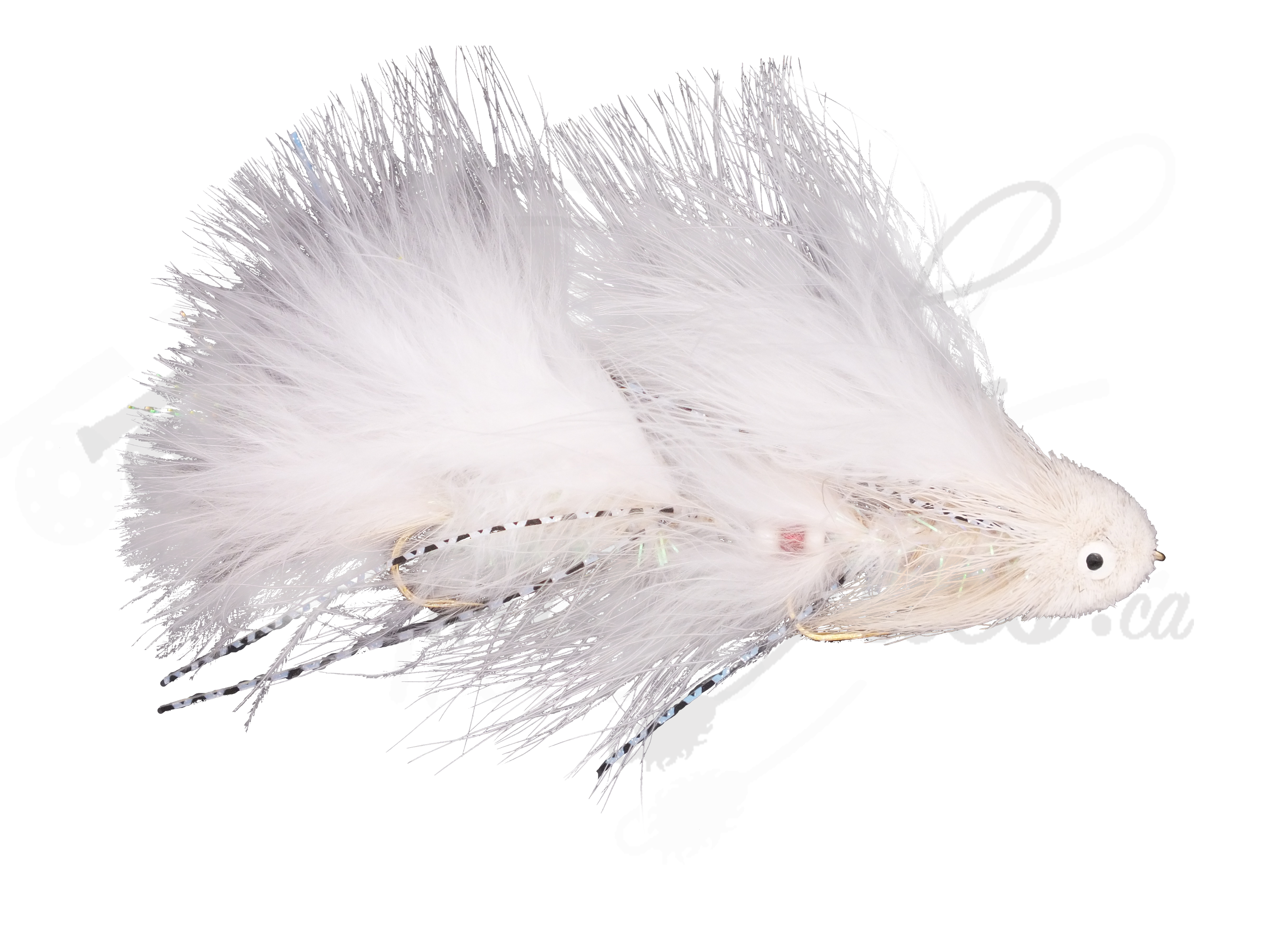 Galloup's Sex Dungeon White