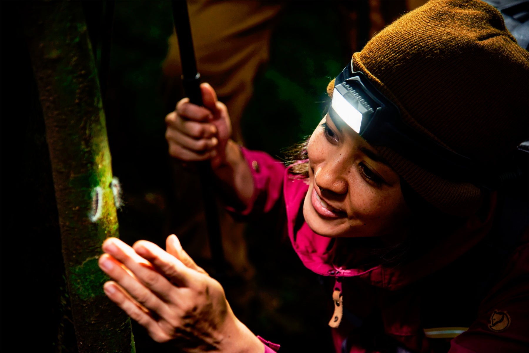 Biolite HeadLamp 800 Pro