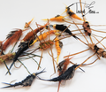 Stonefly 19 Fly Collection