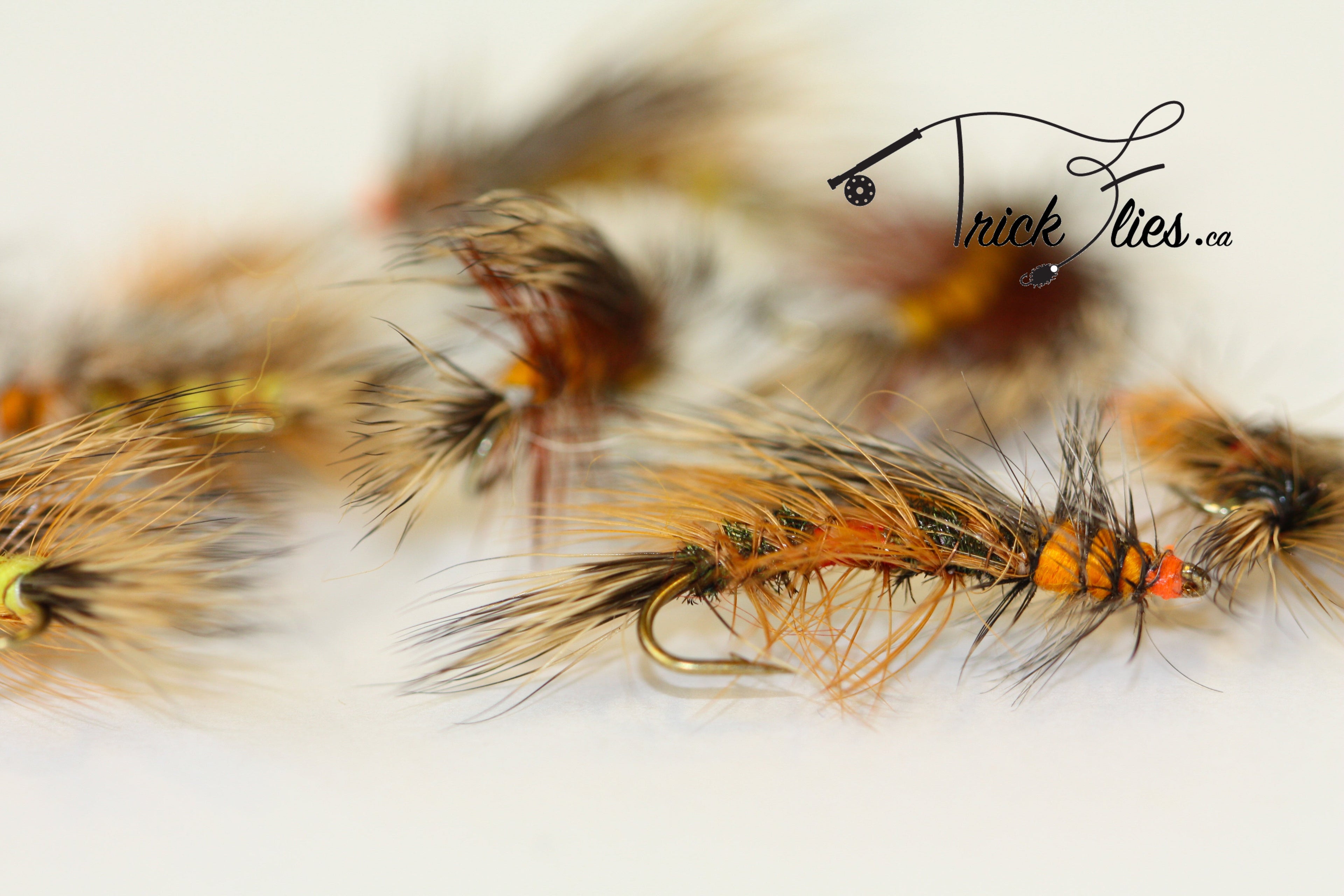 Dry 21 Fly Collection