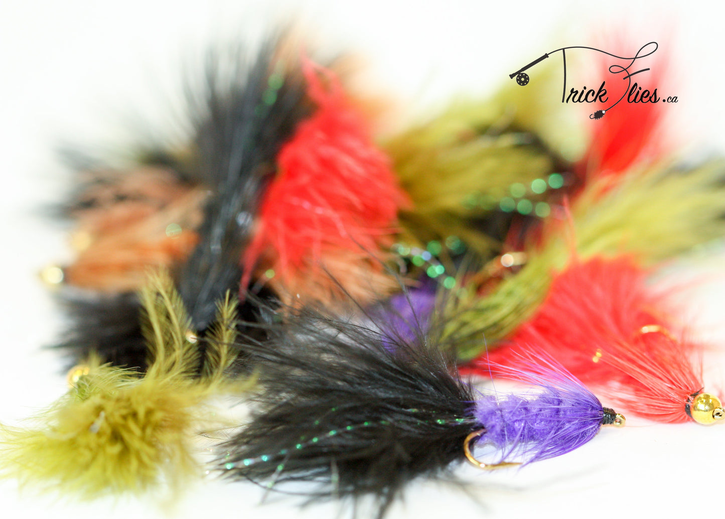 Woolly Bugger 21 Fly Collection