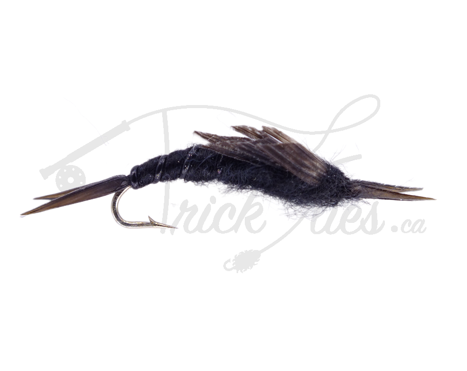 Kaufmann's Stone Black