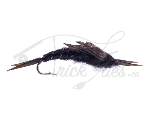 Kaufmann's Stone Black