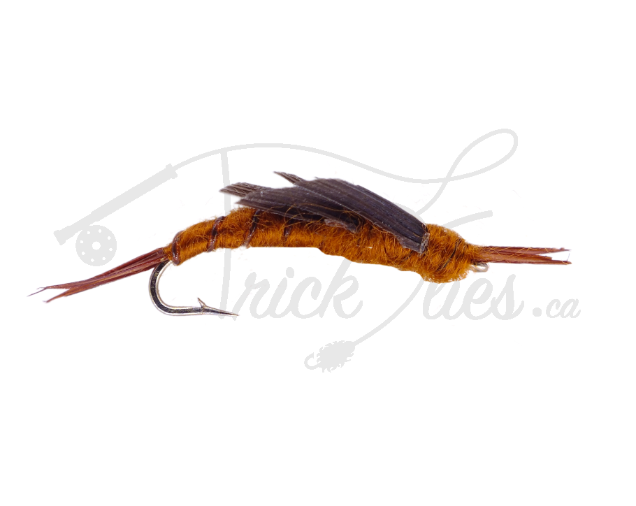 Kaufmann's Stone Brown