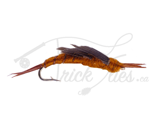 Kaufmann's Stone Brown