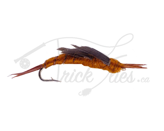 Kaufmann's Stone Brown