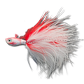 GTB Marabou Jigs