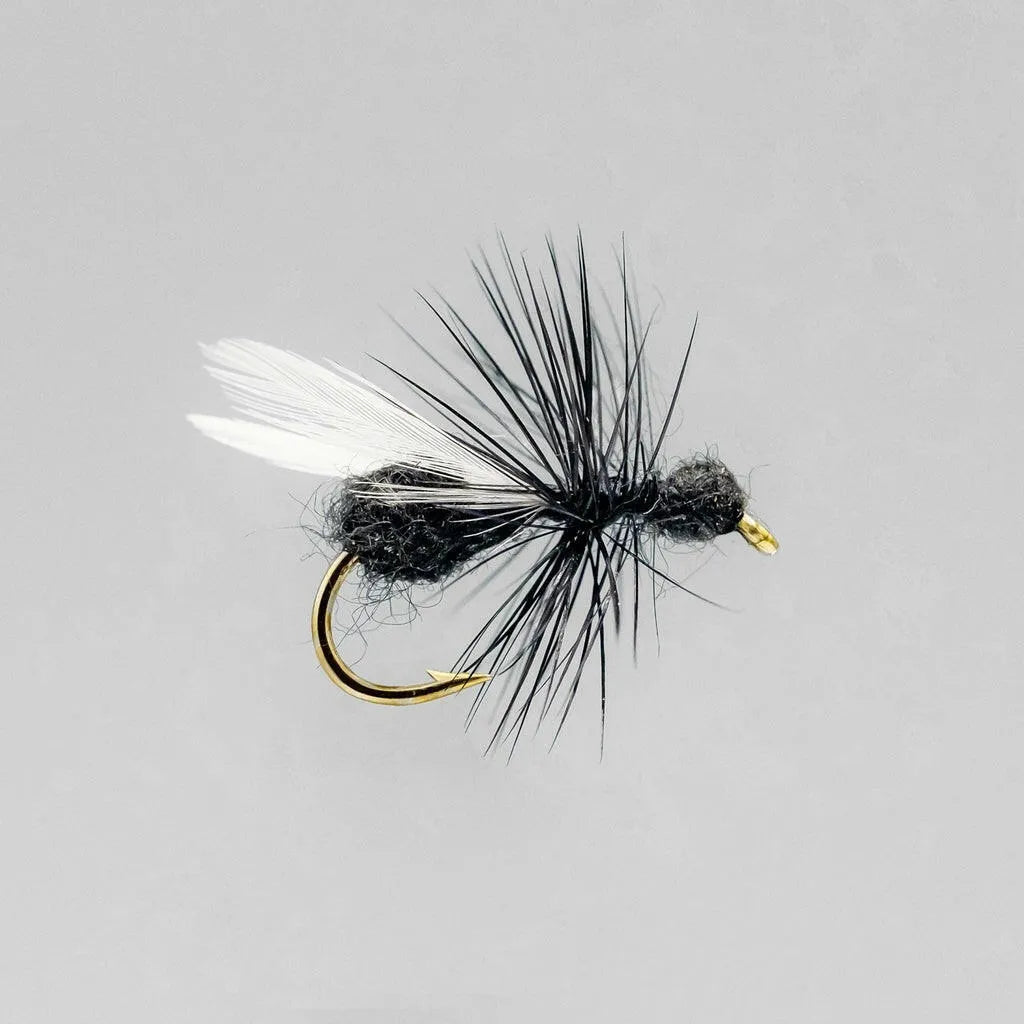 Neptune Dry Flies 1