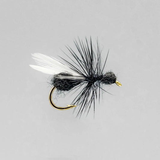 Neptune Dry Flies 1