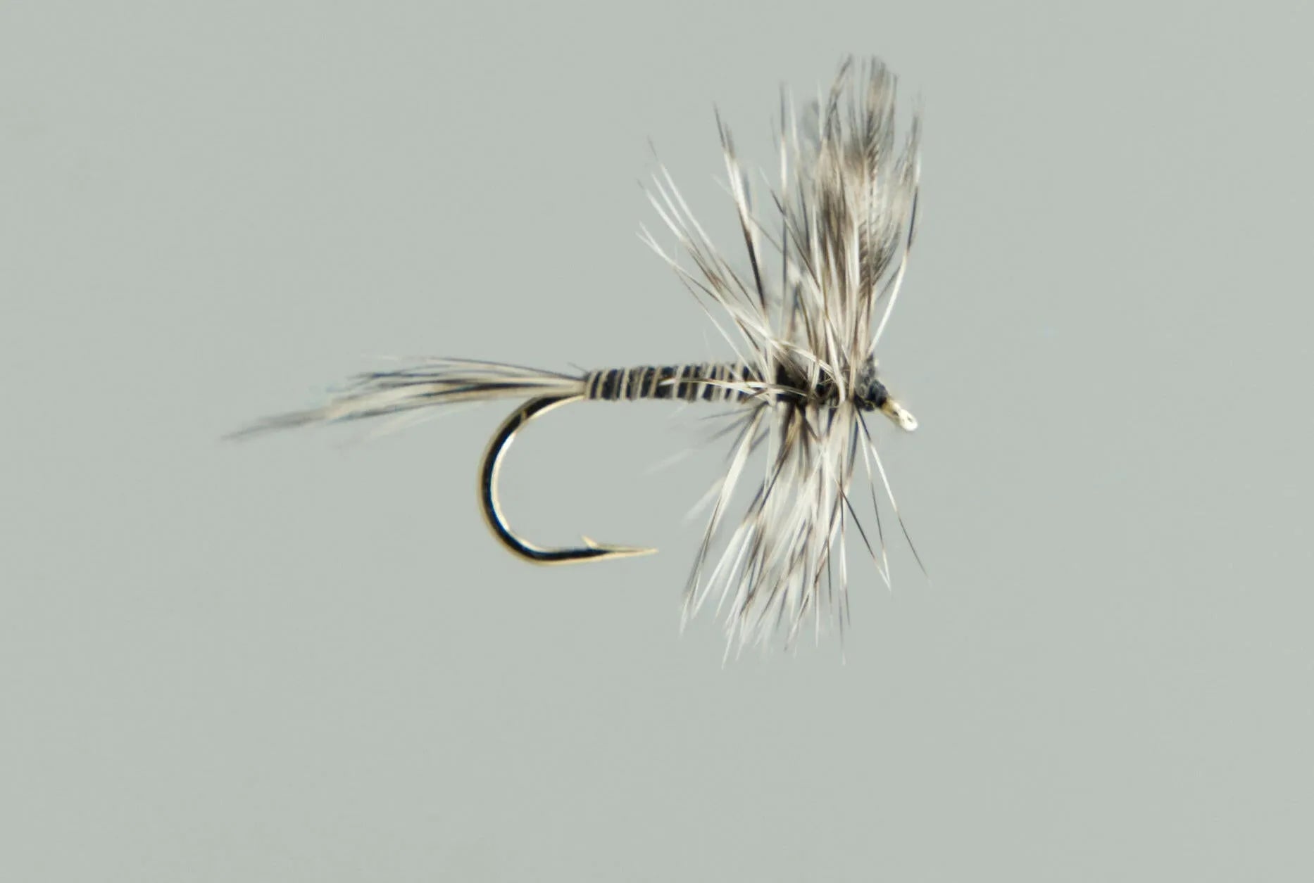Neptune Dry Flies 5