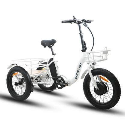 NEW-TRIKE 1.0
